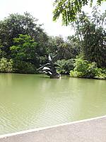 botanic 33