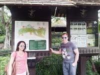 botanic 9