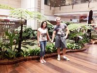 changi-airport-25