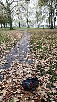 Central Parks