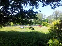 park-8