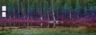 thumbs/screen-2005-12-10-04.png
