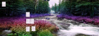 thumbs/screen-2005-12-29-04.png